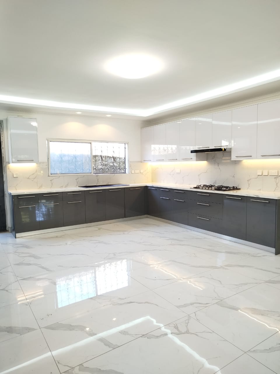 Contemporary Kitchen Project Image